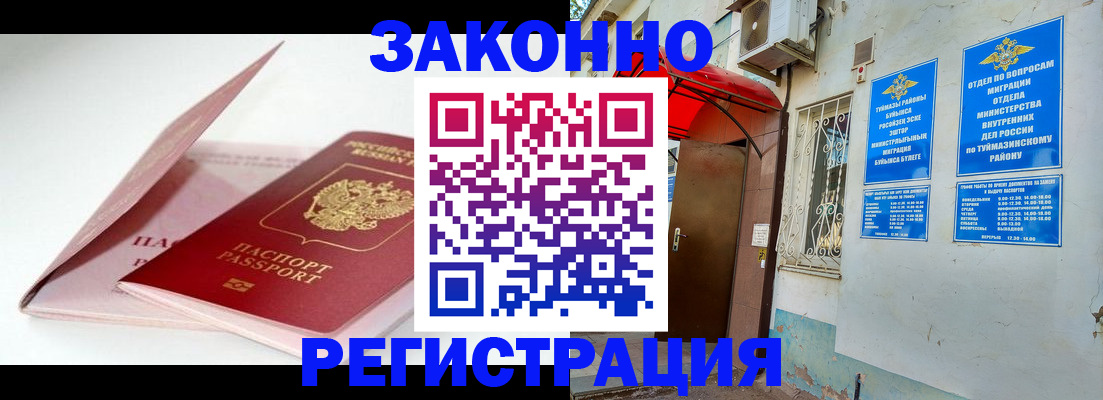 прописка гарантия в Новгородской области
